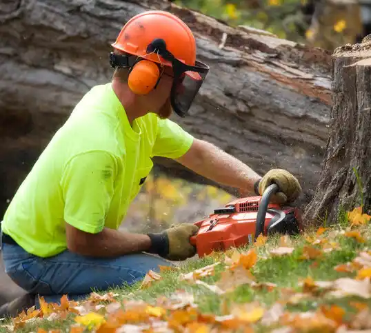 tree services Abita Springs